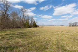 Wishing Star Ranch Tract 90