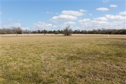 Wishing Star Ranch Tract 90