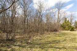 Wishing Star Ranch Tract 90