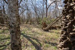Wishing Star Ranch Tract 90