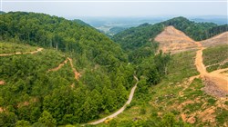 property photo for Bluffview Tract 7, 9 acres for sale in Russell County, Virginia