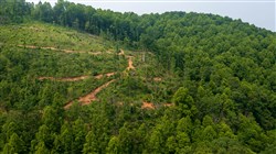 property photo for Bluffview Tract 7, 9 acres for sale in Russell County, Virginia