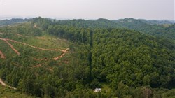 property photo for Bluffview Tract 7, 9 acres for sale in Russell County, Virginia