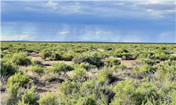 Saddle Ridge Ranches Tract 4