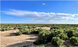 Saddle Ridge Ranches Tract 4