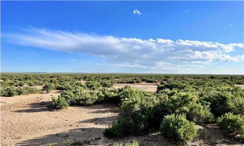 Saddle Ridge Ranches Tract 4