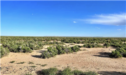 Saddle Ridge Ranches Tract 4