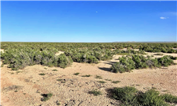 Saddle Ridge Ranches Tract 4