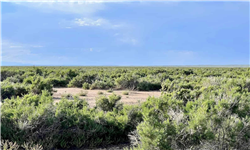 Saddle Ridge Ranches Tract 4