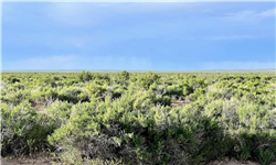 Saddle Ridge Ranches Tract 4